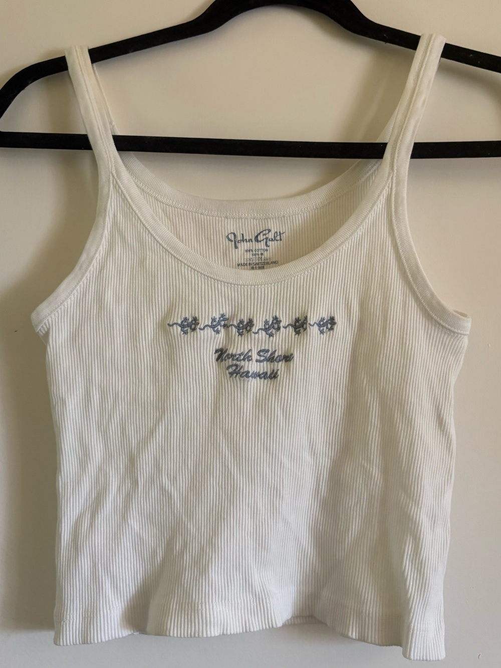 Brandy Melville White Ribbed Tank with Light Blue Floral Embroidery